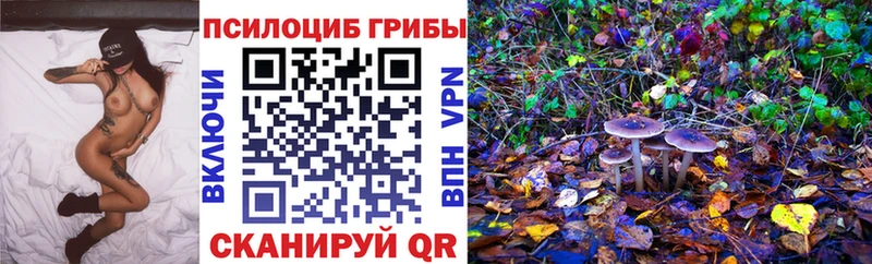 Галлюциногенные грибы Psilocybe  гидра онион  Аша  купить наркотики цена 